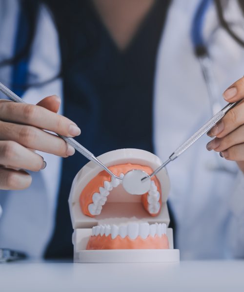 Concentrated dentist sitting at table with jaw samples tooth model and working with tablet and laptop in dental office professional dental clinic. medical doctor working