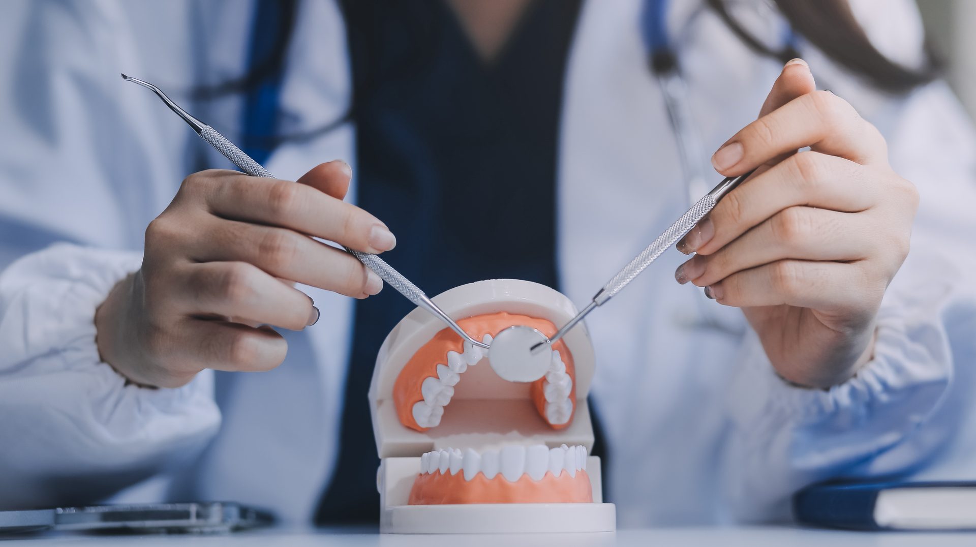 Concentrated dentist sitting at table with jaw samples tooth model and working with tablet and laptop in dental office professional dental clinic. medical doctor working